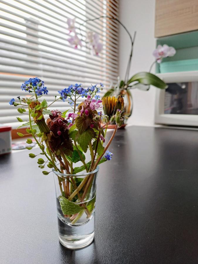 No°21 Apartman Szilvásvárad Esterno foto